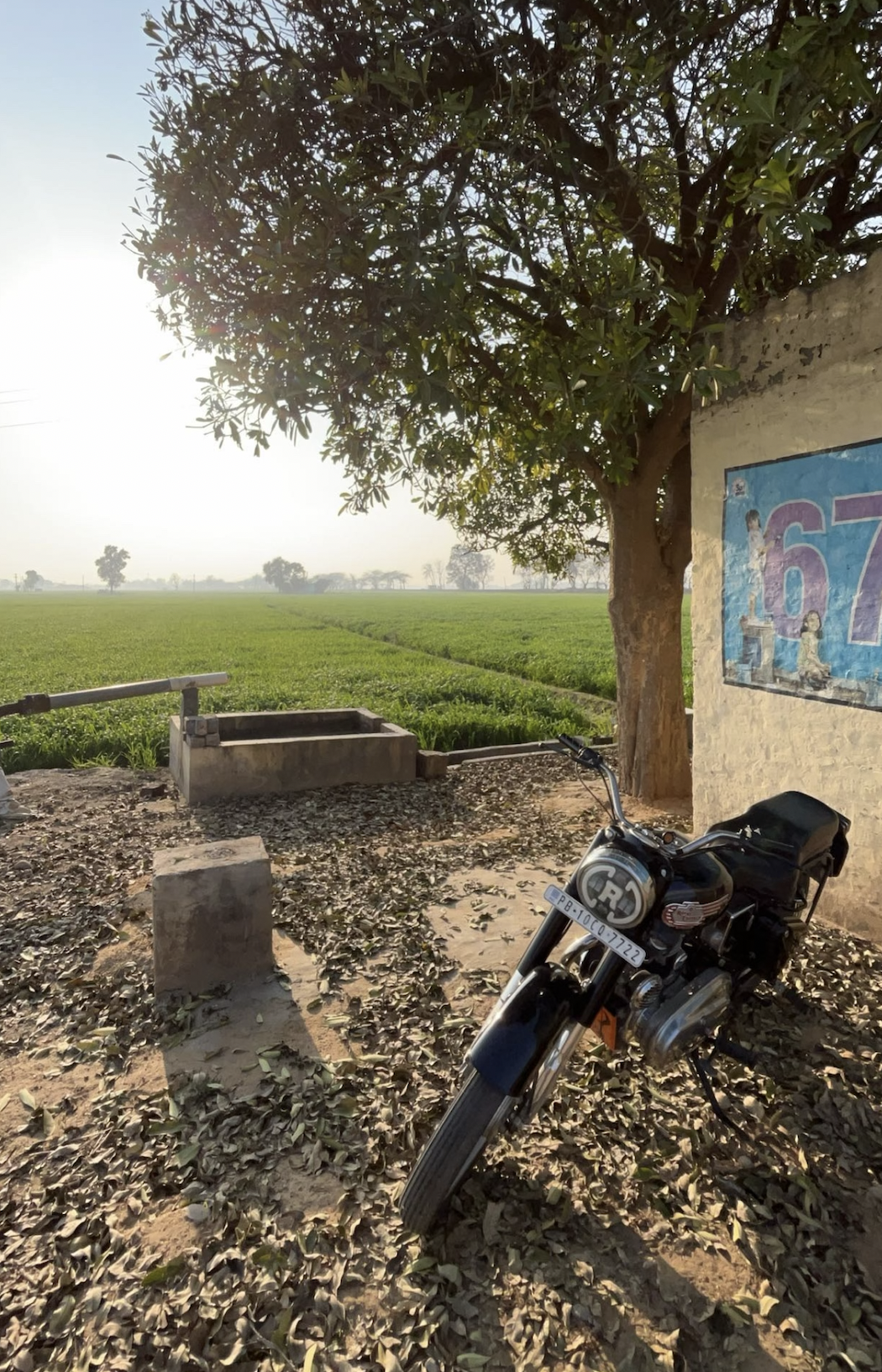 Image2_Dhindsa