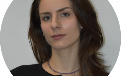 Attachment as a Health Blueprint: From Early Relationships to Chronic Illness and Aging